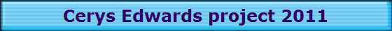 Cerys Edwards project 2011